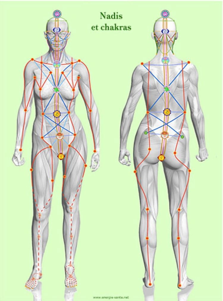 Nadis et chakras facilitant l'incarnation