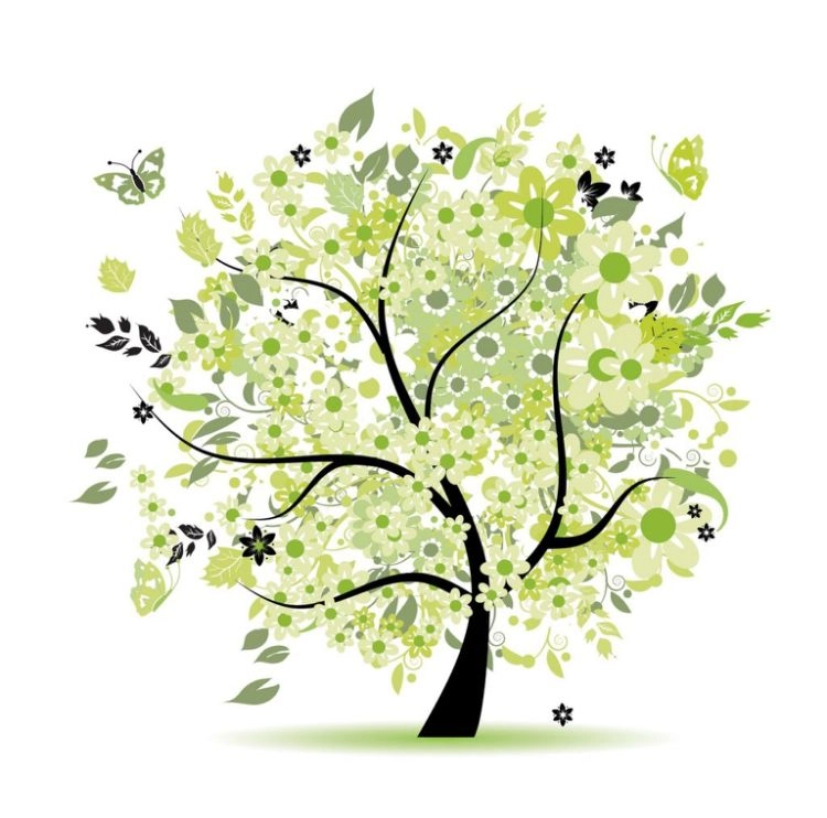 Naitre à la Mère et au Père en Soi : Haptonomie Lyon